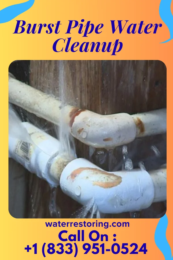 Burst Pipe Water Cleanup in Eustis, NE