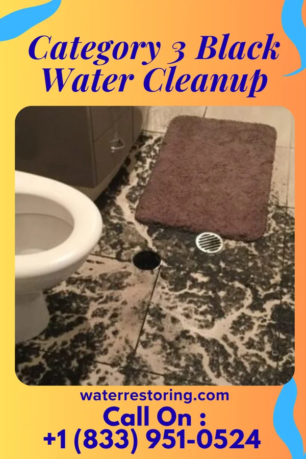 Category 3 Black Water Cleanup in Eustis, NE