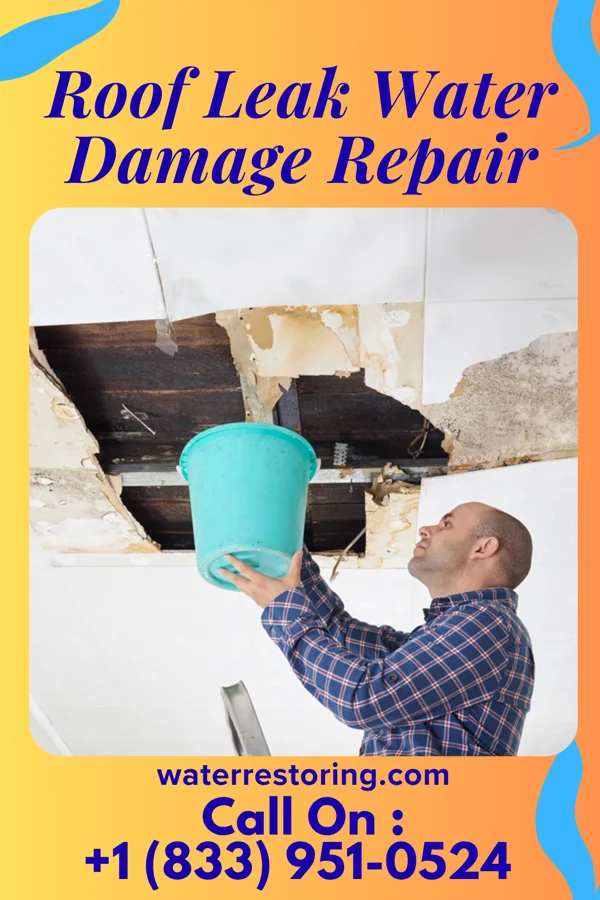 Roof Leak Water Damage Repair in Eustis, NE