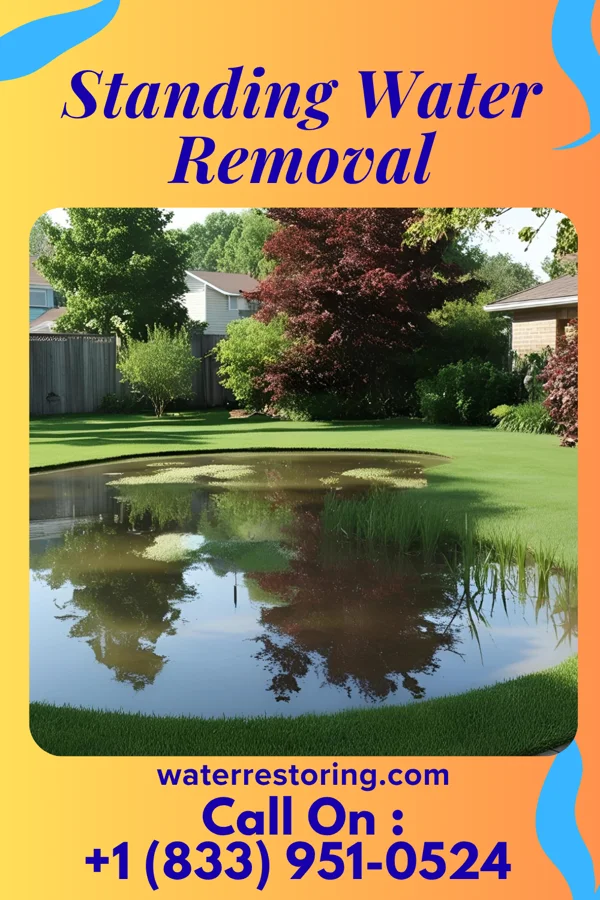 Standing Water Removal in Eustis, NE